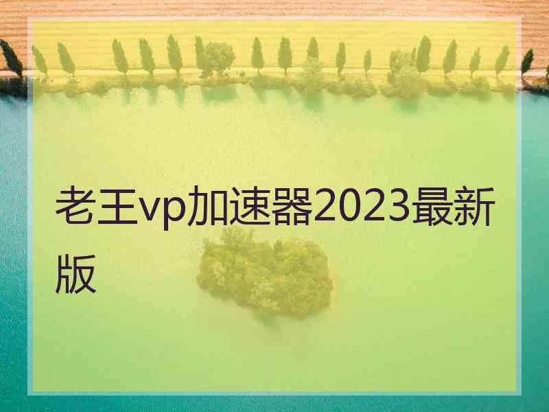 老王vp加速器2023最新版