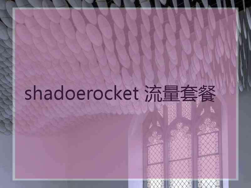 shadoerocket 流量套餐