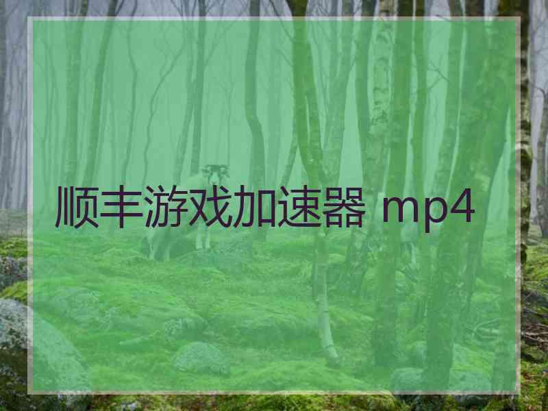 顺丰游戏加速器 mp4