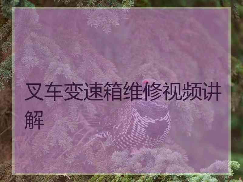 叉车变速箱维修视频讲解