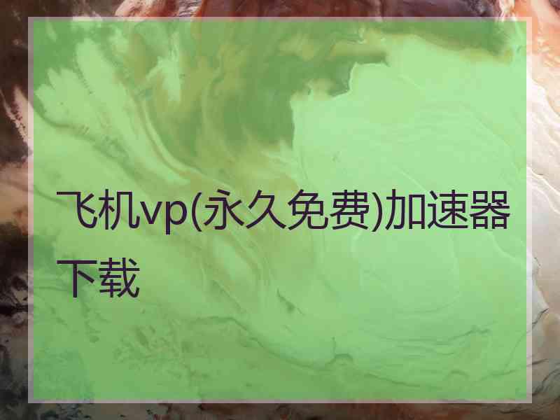 飞机vp(永久免费)加速器下载