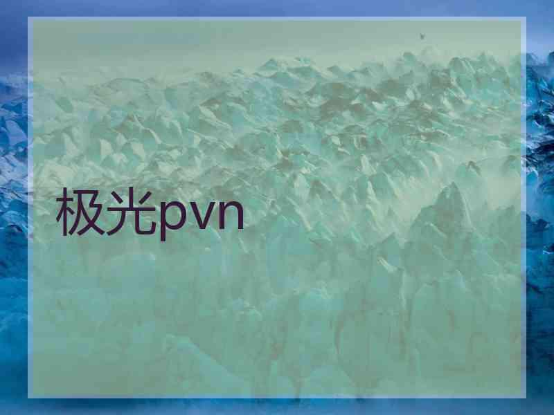 极光pvn