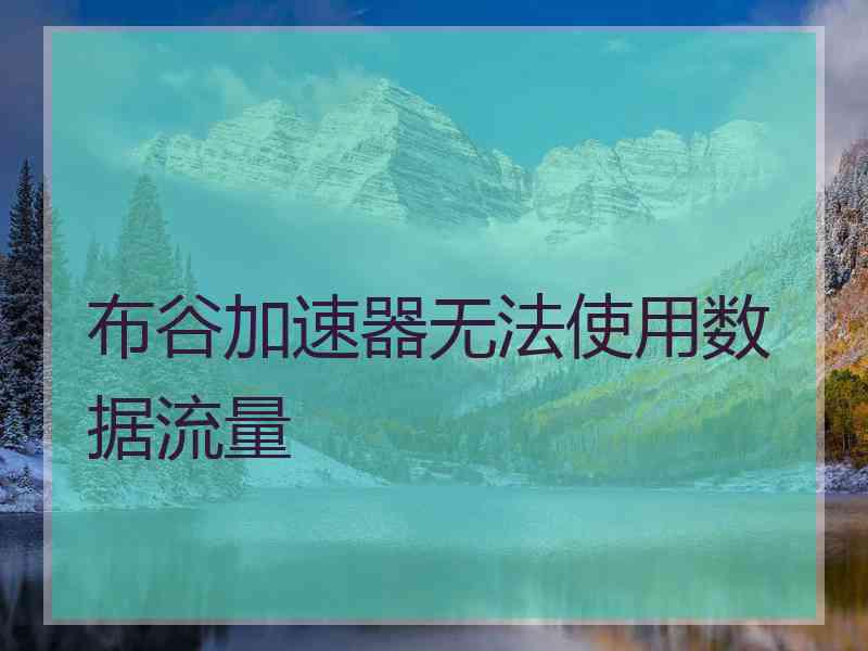 布谷加速器无法使用数据流量