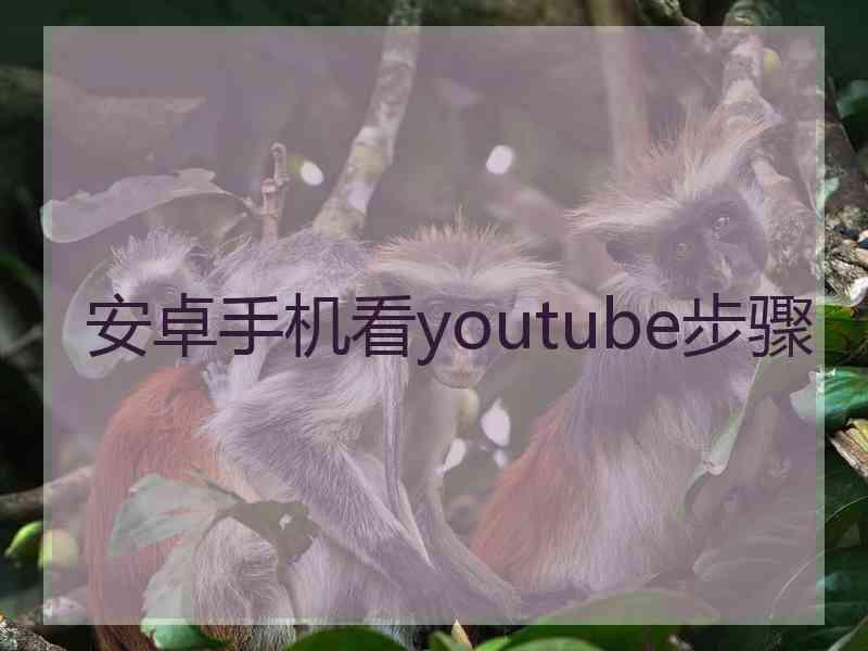 安卓手机看youtube步骤