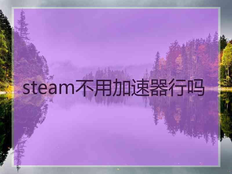 steam不用加速器行吗