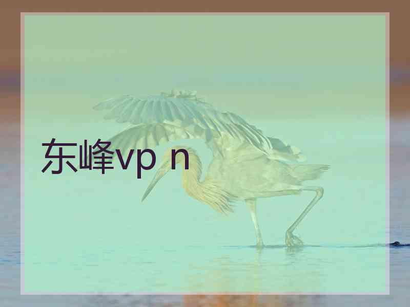 东峰vp n