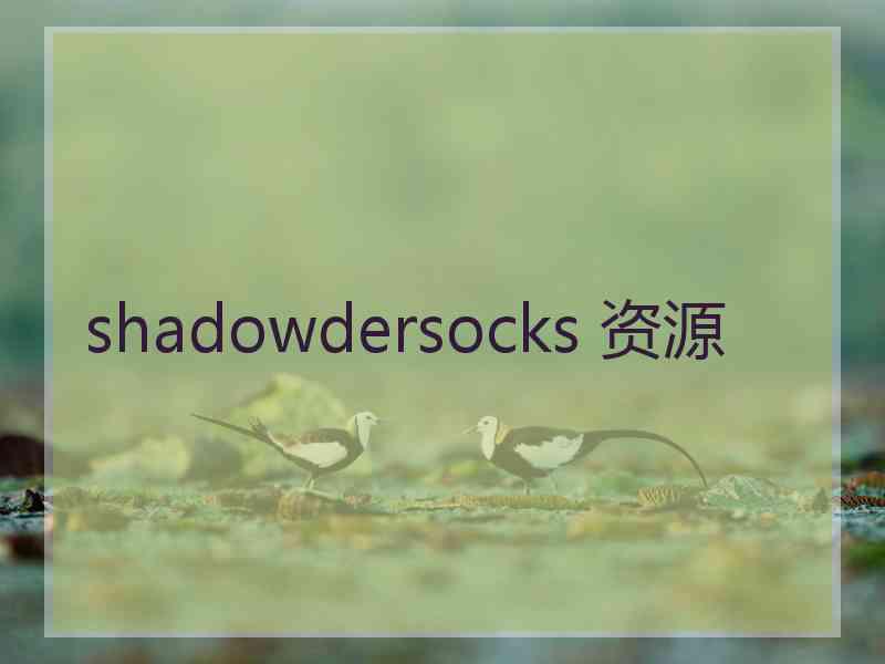 shadowdersocks 资源