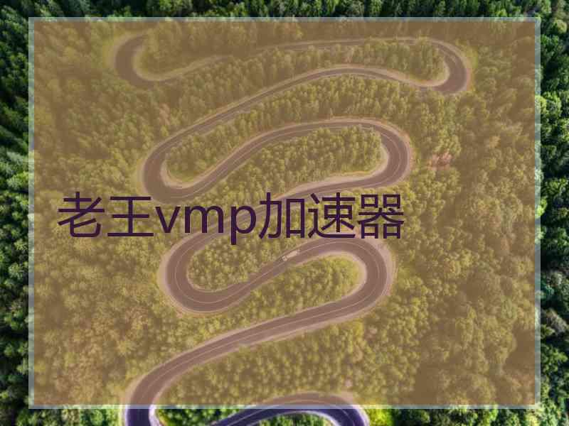 老王vmp加速器