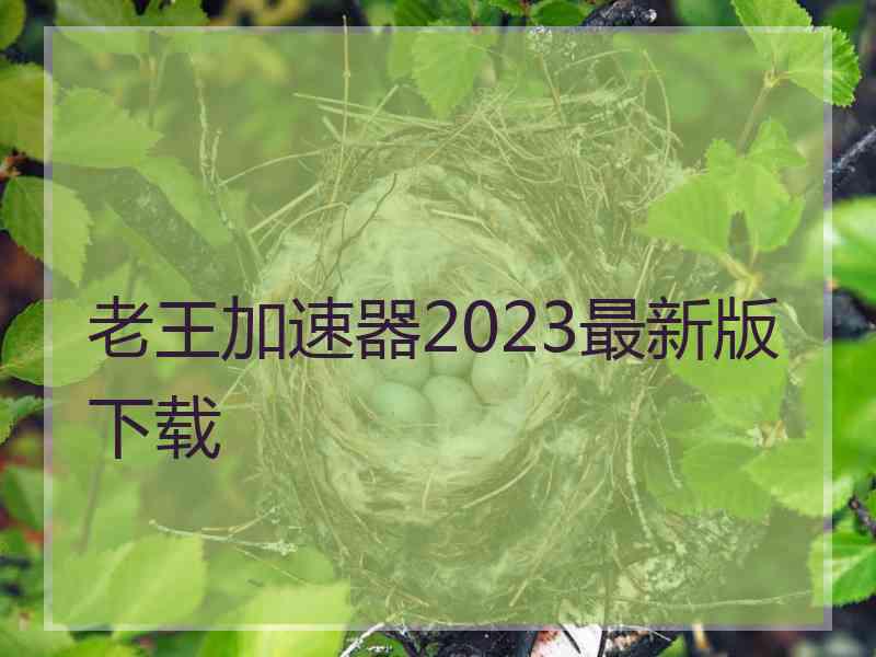 老王加速器2023最新版下载