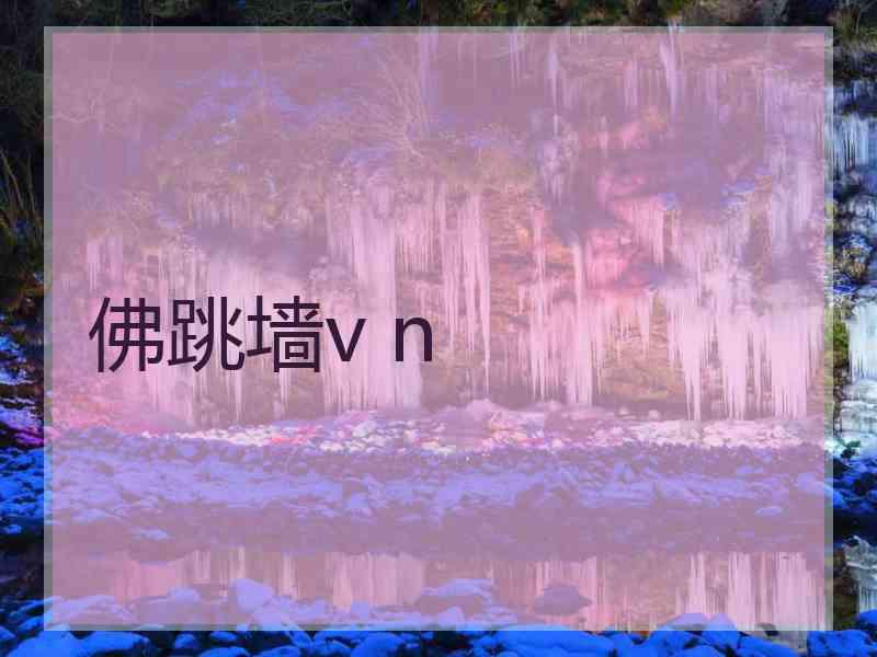 佛跳墙v n