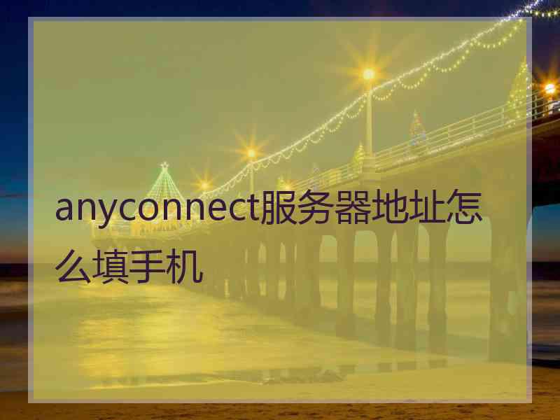 anyconnect服务器地址怎么填手机