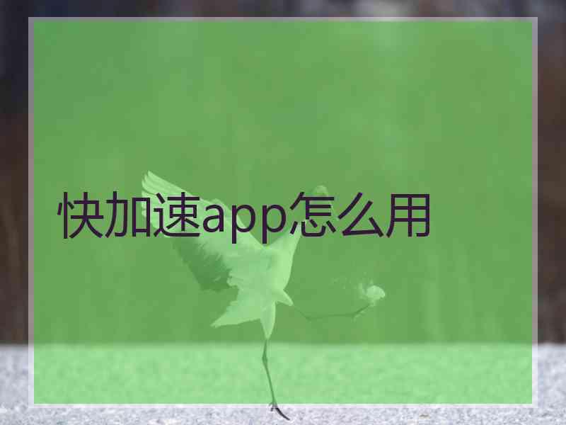 快加速app怎么用