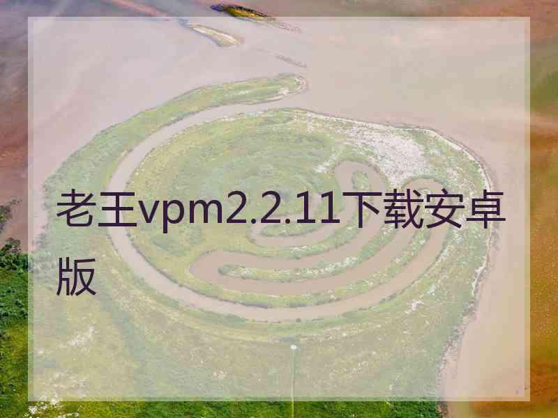 老王vpm2.2.11下载安卓版