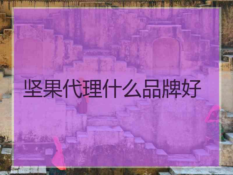 坚果代理什么品牌好