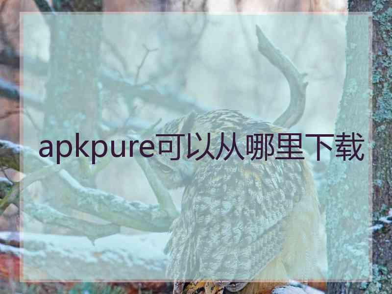 apkpure可以从哪里下载