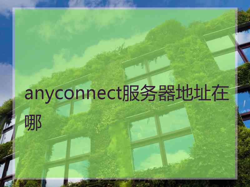 anyconnect服务器地址在哪