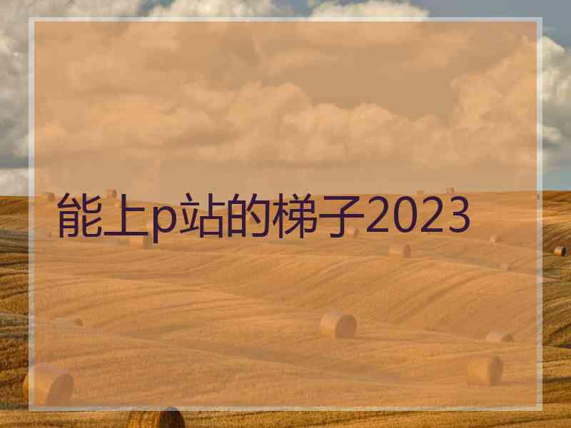 能上p站的梯子2023