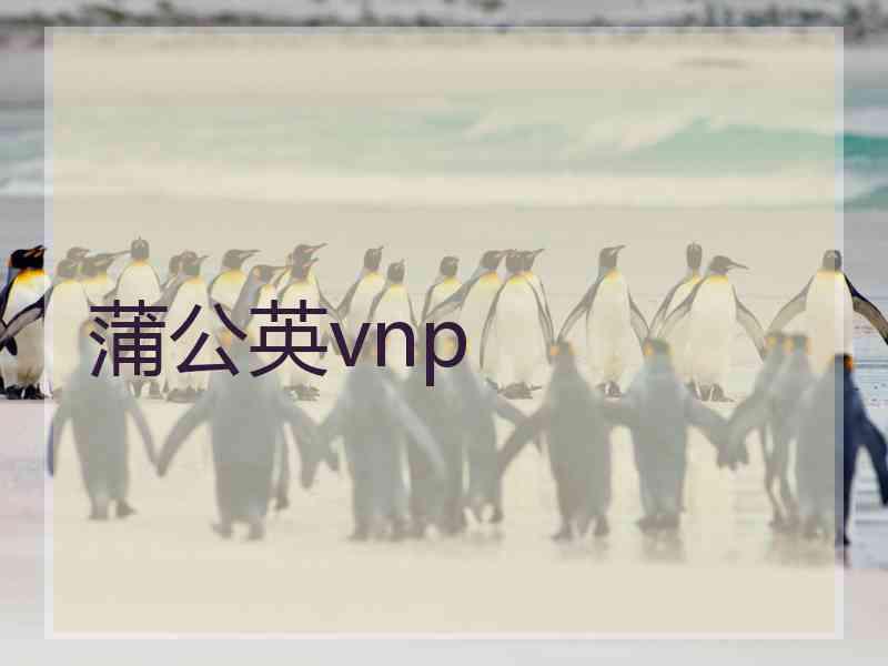 蒲公英vnp