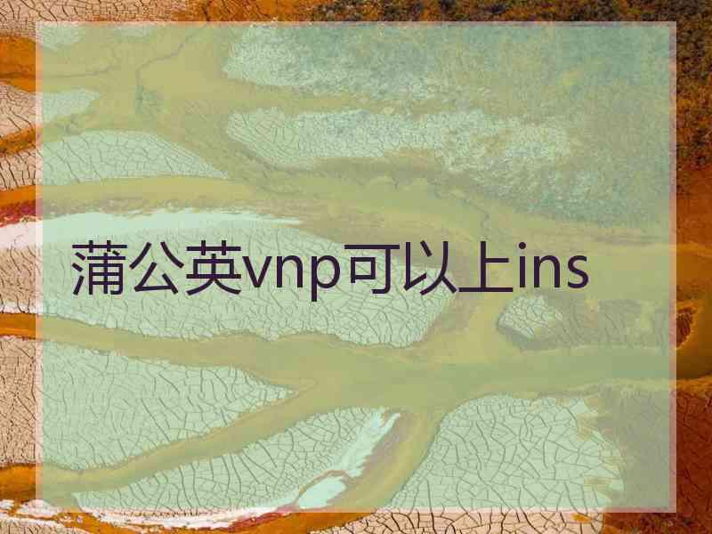 蒲公英vnp可以上ins