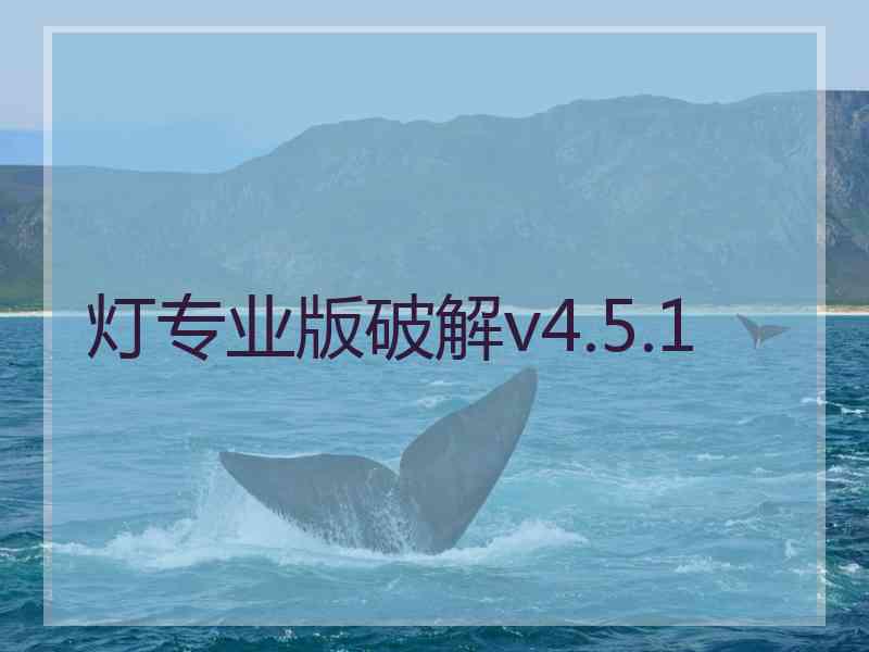 灯专业版破解v4.5.1