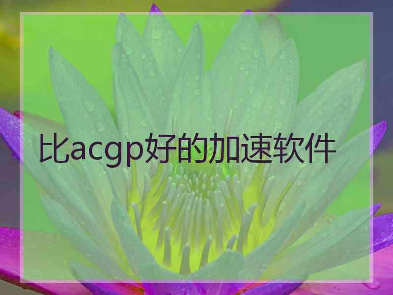 比acgp好的加速软件