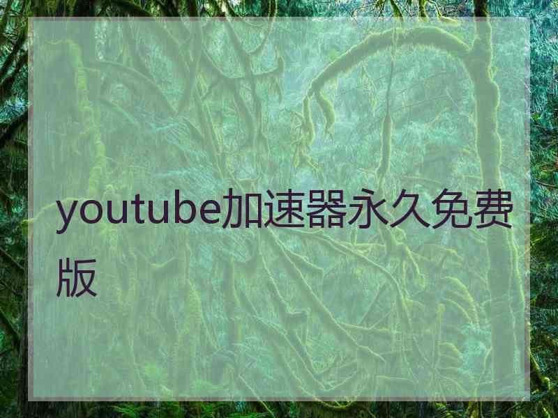 youtube加速器永久免费版