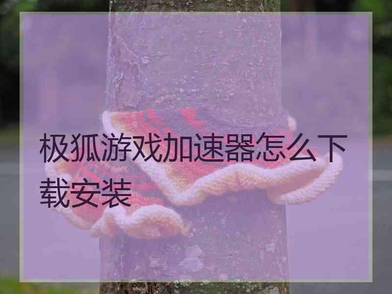 极狐游戏加速器怎么下载安装