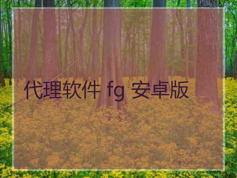 代理软件 fg 安卓版