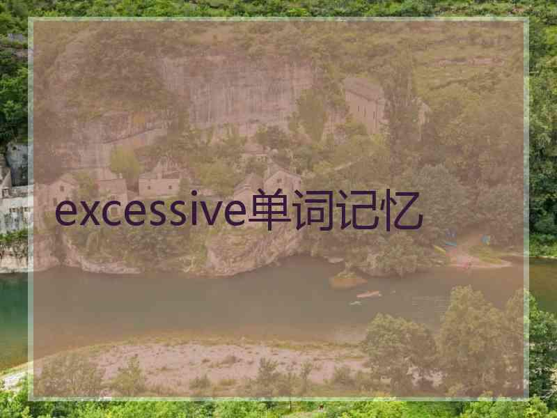 excessive单词记忆