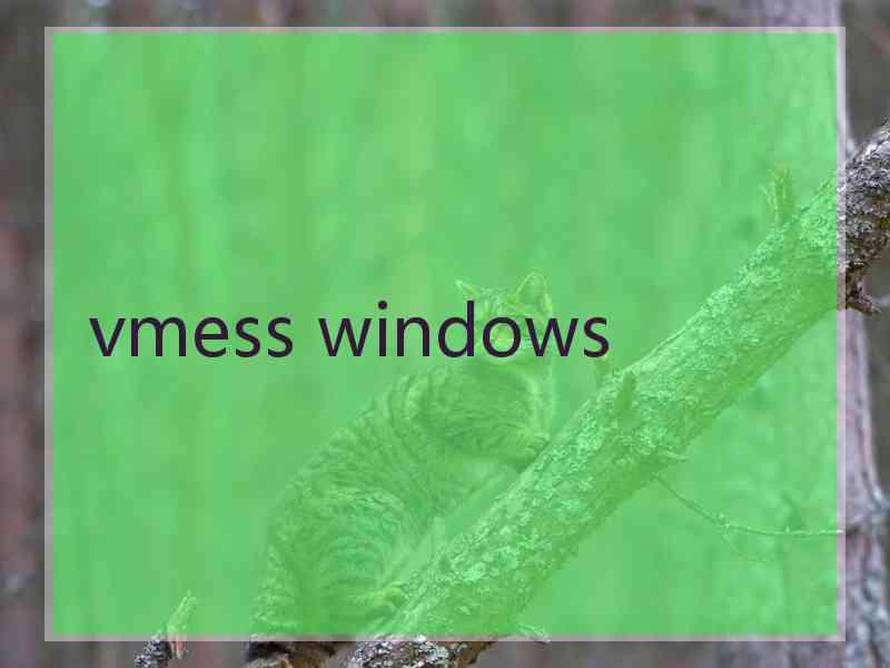 vmess windows