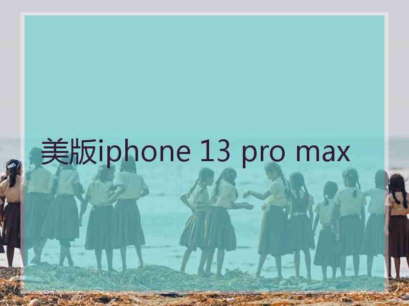 美版iphone 13 pro max