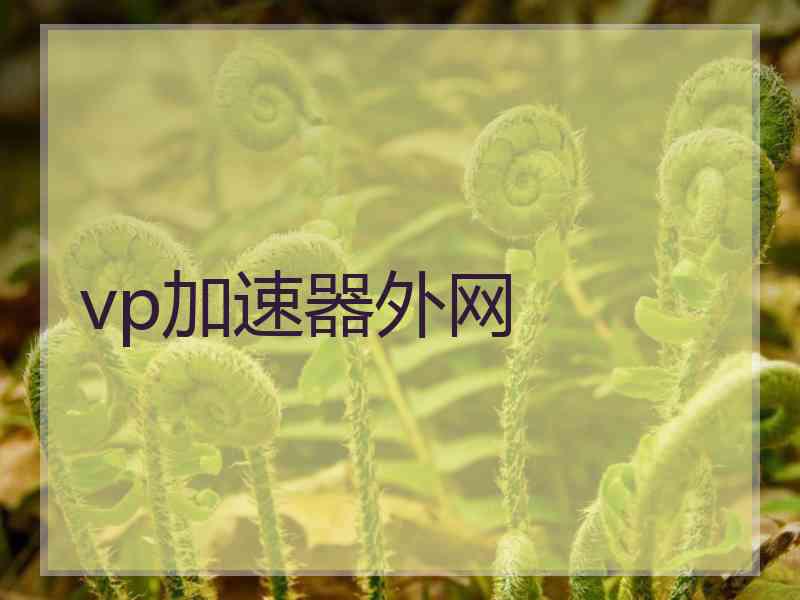 vp加速器外网