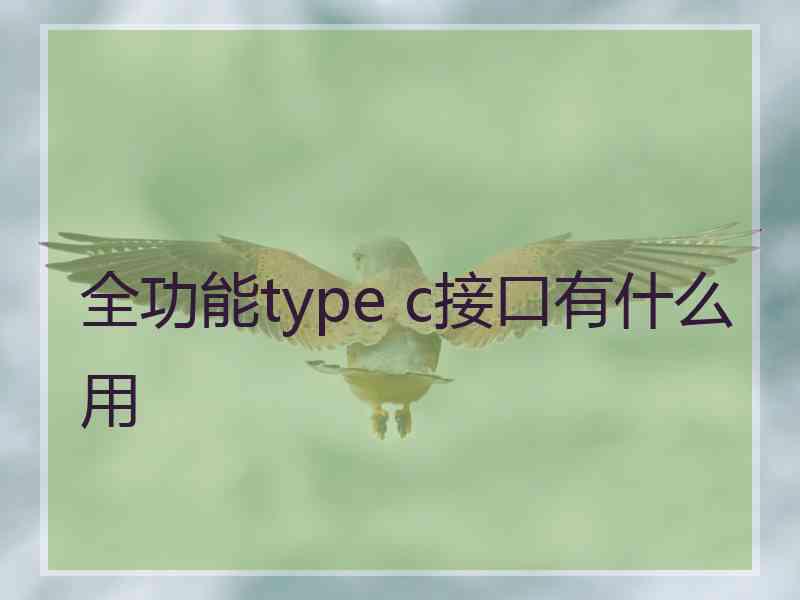 全功能type c接口有什么用