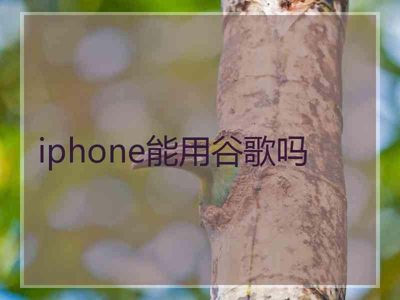 iphone能用谷歌吗