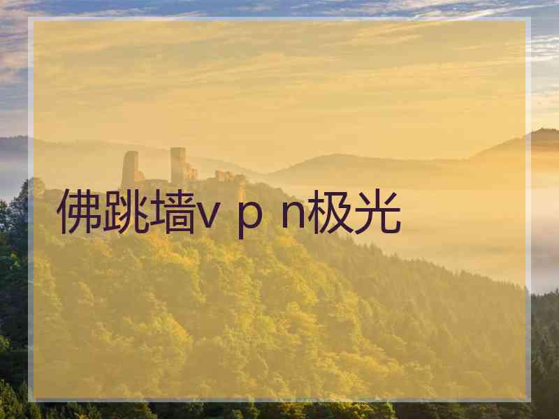 佛跳墙v p n极光