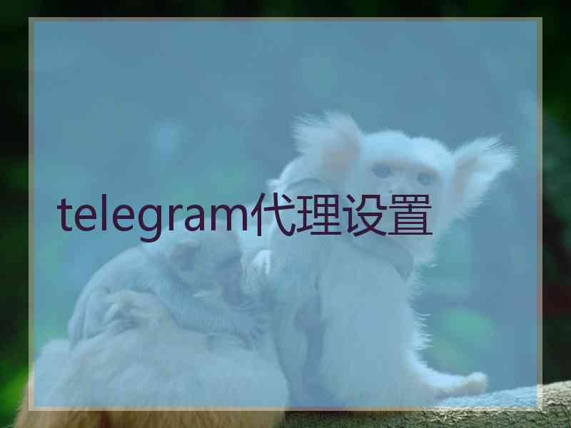 telegram代理设置