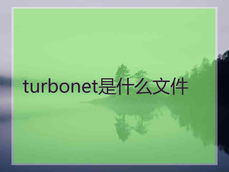 turbonet是什么文件