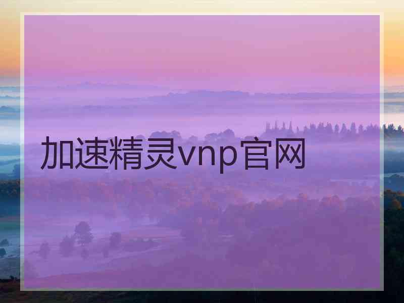 加速精灵vnp官网