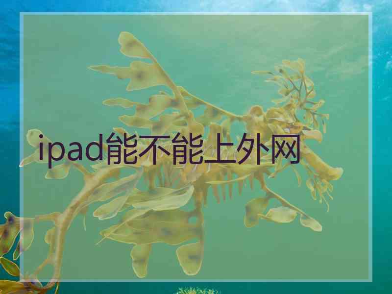 ipad能不能上外网