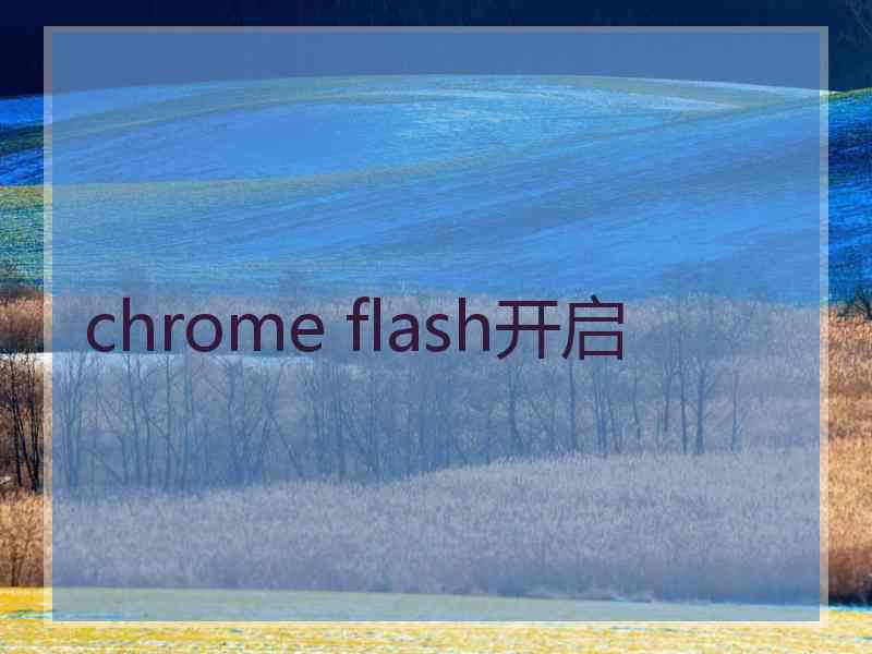 chrome flash开启