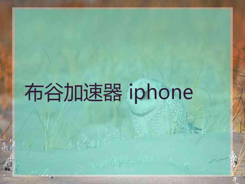 布谷加速器 iphone