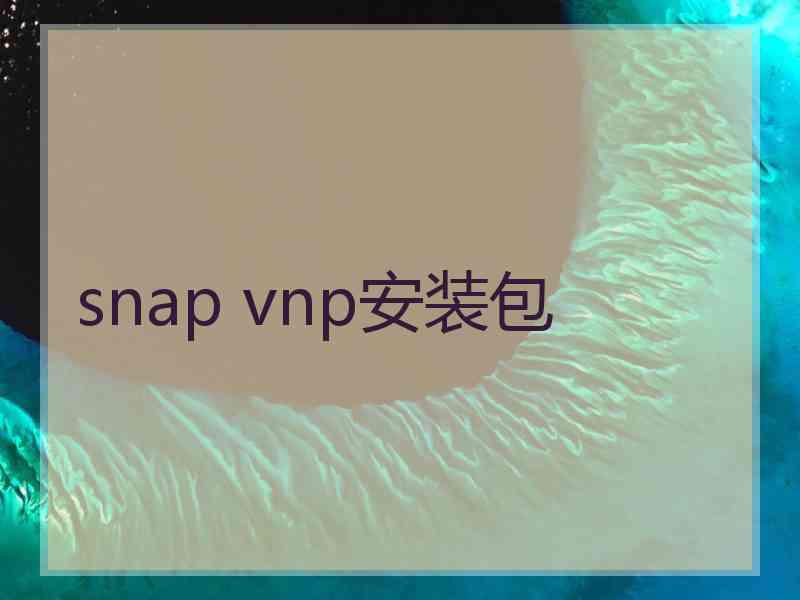 snap vnp安装包