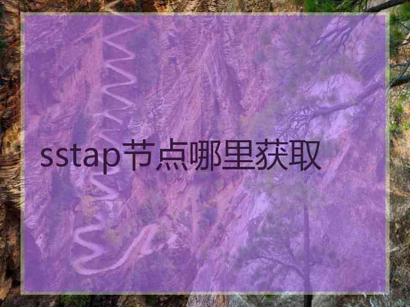 sstap节点哪里获取