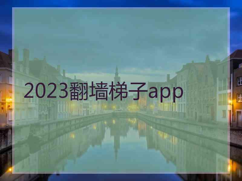 2023翻墙梯子app