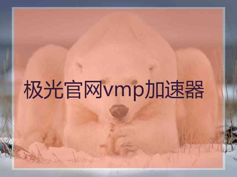 极光官网vmp加速器