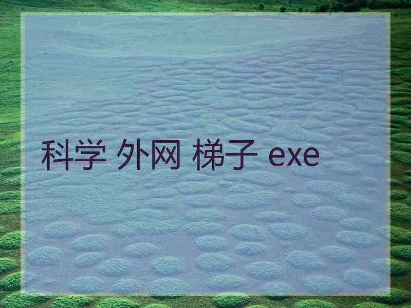 科学 外网 梯子 exe