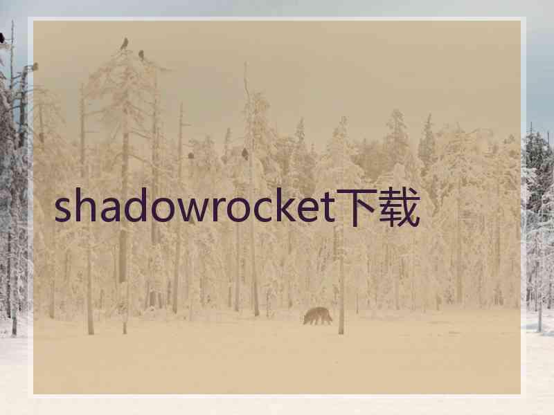 shadowrocket下载