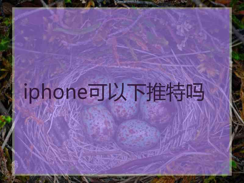 iphone可以下推特吗