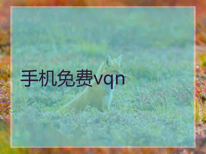 手机免费vqn