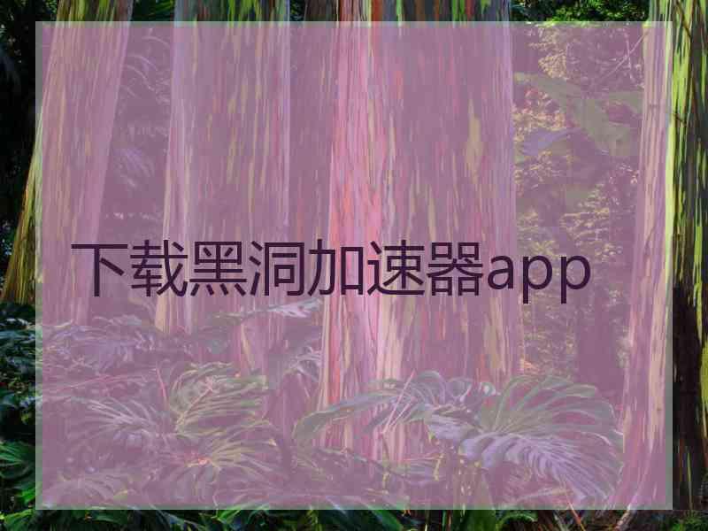 下载黑洞加速器app